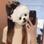 オトのプロフィール画像