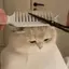 利智のプロフィール画像