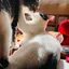 mouのプロフィール画像