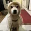 Mのプロフィール画像