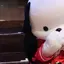 雪乃のプロフィール画像