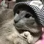 リオのプロフィール画像