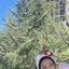綾音のプロフィール画像