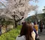きょうかのプロフィール画像