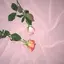 Yのプロフィール画像