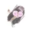 古賀琴海のプロフィール画像