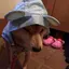 ゆずのプロフィール画像