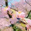 香椎のプロフィール画像