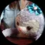 Keikoのプロフィール画像