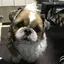 junkoのプロフィール画像