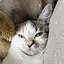 なみちのプロフィール画像