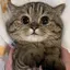 たくまのプロフィール画像