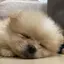 𝑨𝒊𝒓𝒊のプロフィール画像