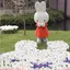 あかねのプロフィール画像