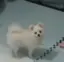 りゅーみのプロフィール画像