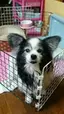 *myu*のプロフィール画像