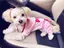 sのプロフィール画像