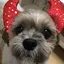 陽子のプロフィール画像