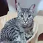 hugのプロフィール画像