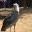リリーのプロフィール画像