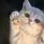 haruのプロフィール画像