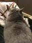 セイラのプロフィール画像