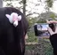 ここみのプロフィール画像