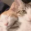 あやねのプロフィール画像