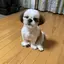 ゆーみんのプロフィール画像