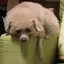 Mのプロフィール画像