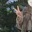 せりちゃんのプロフィール画像
