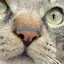 ばななのプロフィール画像