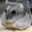 あおのプロフィール画像