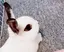 sのプロフィール画像