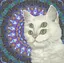 まみのプロフィール画像