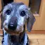 yのプロフィール画像