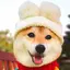 kのプロフィール画像
