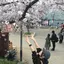 円香のプロフィール画像