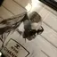 aoのプロフィール画像