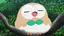 ﾓﾁｬﾝのプロフィール画像