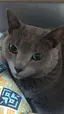 みどりのプロフィール画像