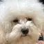 ものプロフィール画像