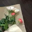 もなのプロフィール画像