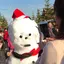 ひなこのプロフィール画像