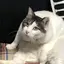 マキのプロフィール画像