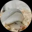 まりのプロフィール画像