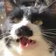 りのプロフィール画像