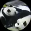 みなみのプロフィール画像