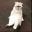 ありそんのプロフィール画像