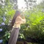 はなのプロフィール画像